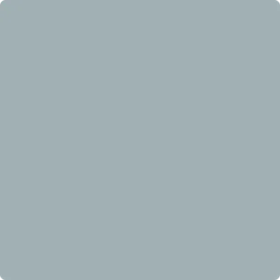 2131-50 Nimbus Gray